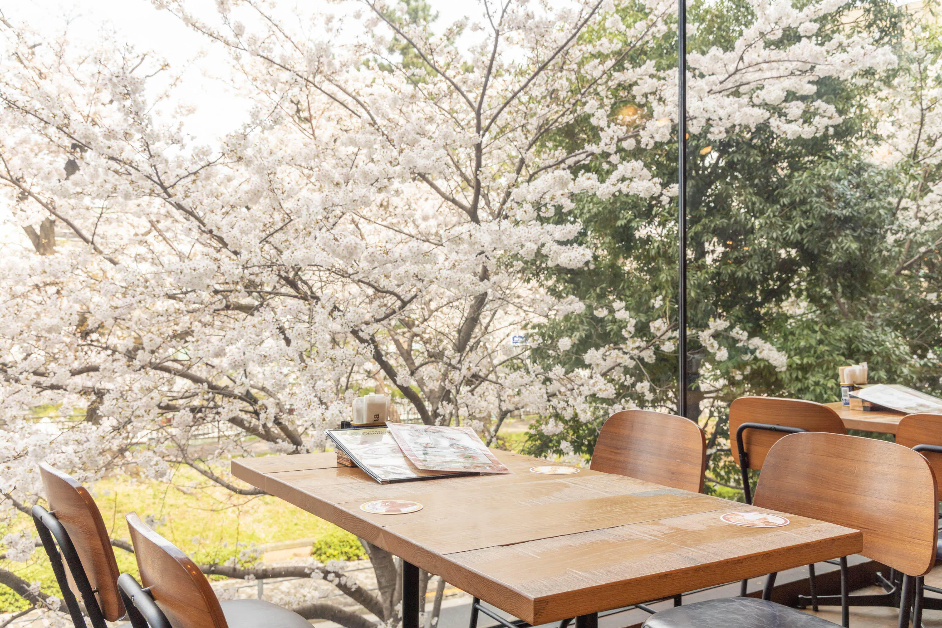 お花見席 アロハテーブル飯田橋